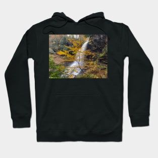 Dry Falls Hoodie